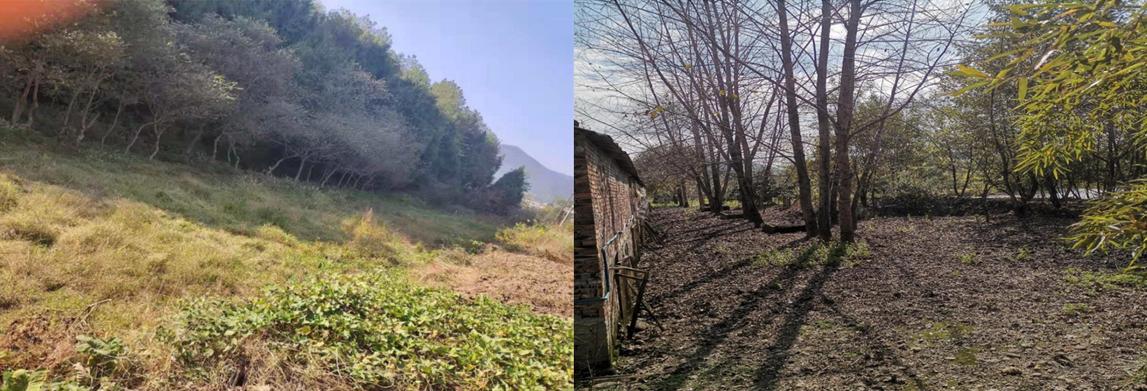 石塘村、五星村污水站现场选址现场图.png