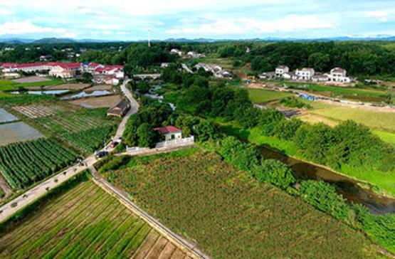 农村污水治理企业哪家好？虽然农村污水行业市场空间大，但是相对于城市污水处理厂，农村污水治理对水务企业的吸引力偏弱。相比城市，农村污水处理市场更分散，专业人员少，对运维的要求更直接、迫切。